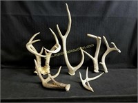 Group Of Antlers