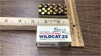 Winchester western Wildcat 22