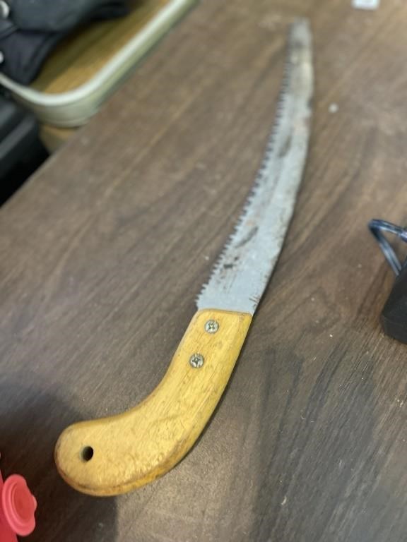 Small Tree limb saw