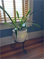 Large Potted Plant and stand