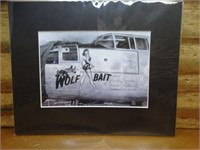 WWII Airplane Nose Art