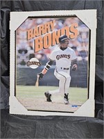 1993 Starline Barry Bonds MLB Picture