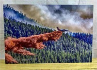 Canyon Creek Fire Metal Wall Art