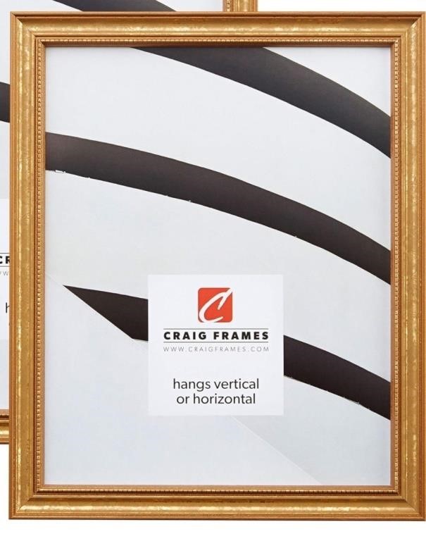 Craig Frames 314GD 24 x 32 Inch Picture Frame