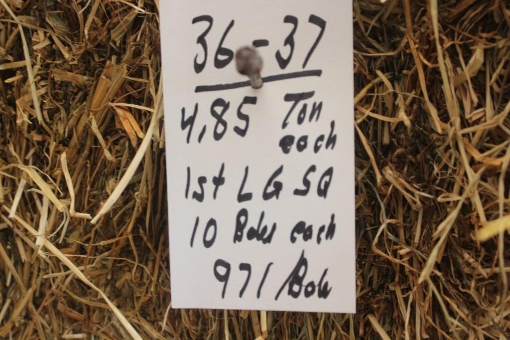Hay, Bedding & Firewood Auction#23 (6/5/2024)