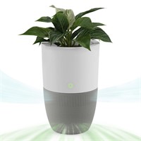 Dupray Bloom Air Purifier for Large Rooms with Pl