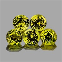 Natural Vivid Yellow Mali Garnet 5 Pcs{Flawless-VV