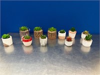 Small Artificial Plants