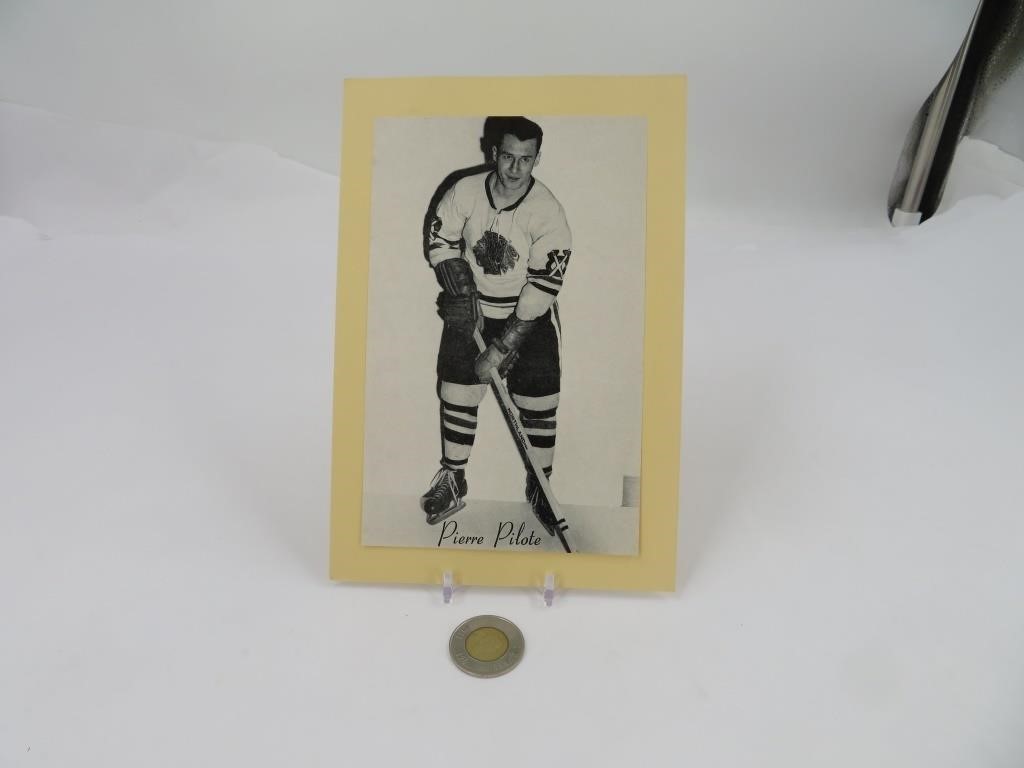 Pierre Pilote , 1944/64 BEEHIVE Photo Hockey