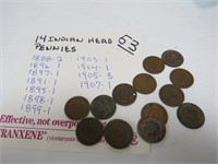 14 Indian Head Pennies