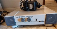Roland CS-10 Stereo Micro Monitor