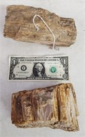 2 Pieces Of Petrified Wood