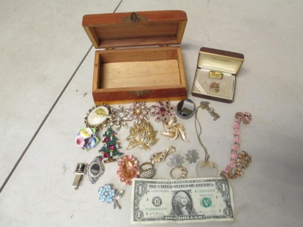 Vintage Jewelry Lot - Pins/Brooches & More