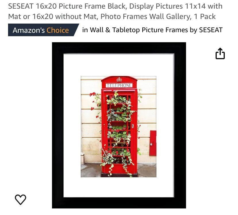 SESEAT 16 * 20 Picture Frame Black