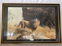 CHARLES FRACE MIGHTY WARRIOR LION PRINT LIMITED