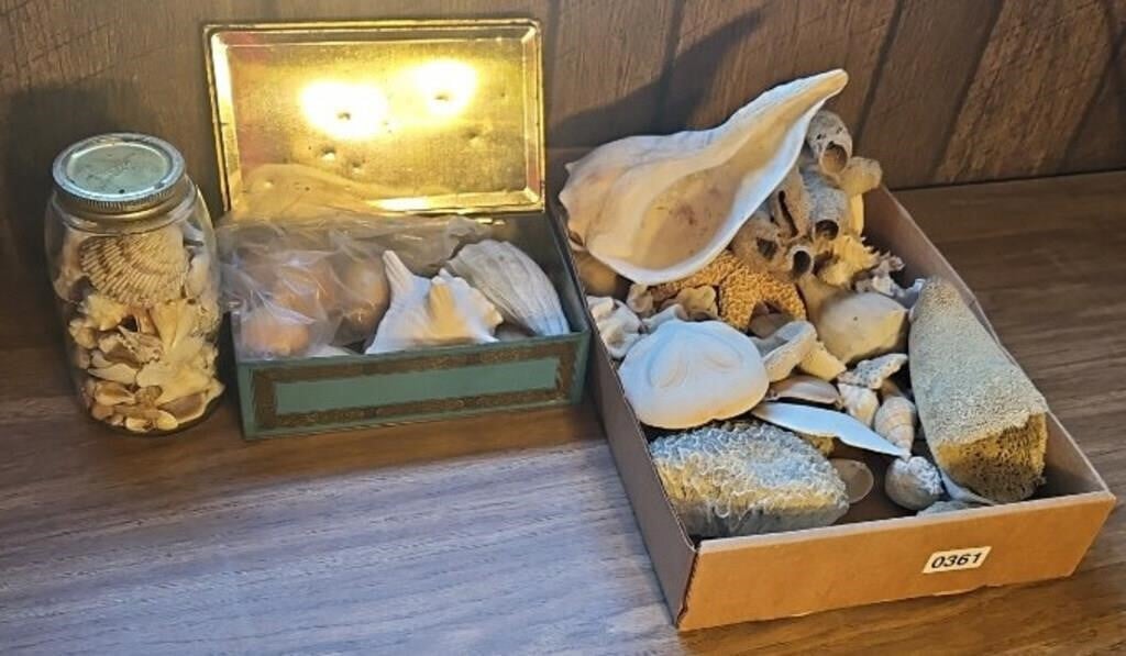 SHELL COLLECTION