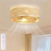 Modern Flush Mount Ceiling Fan, 20 Inch w/ Lights