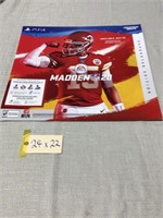 24x22 Madden 20