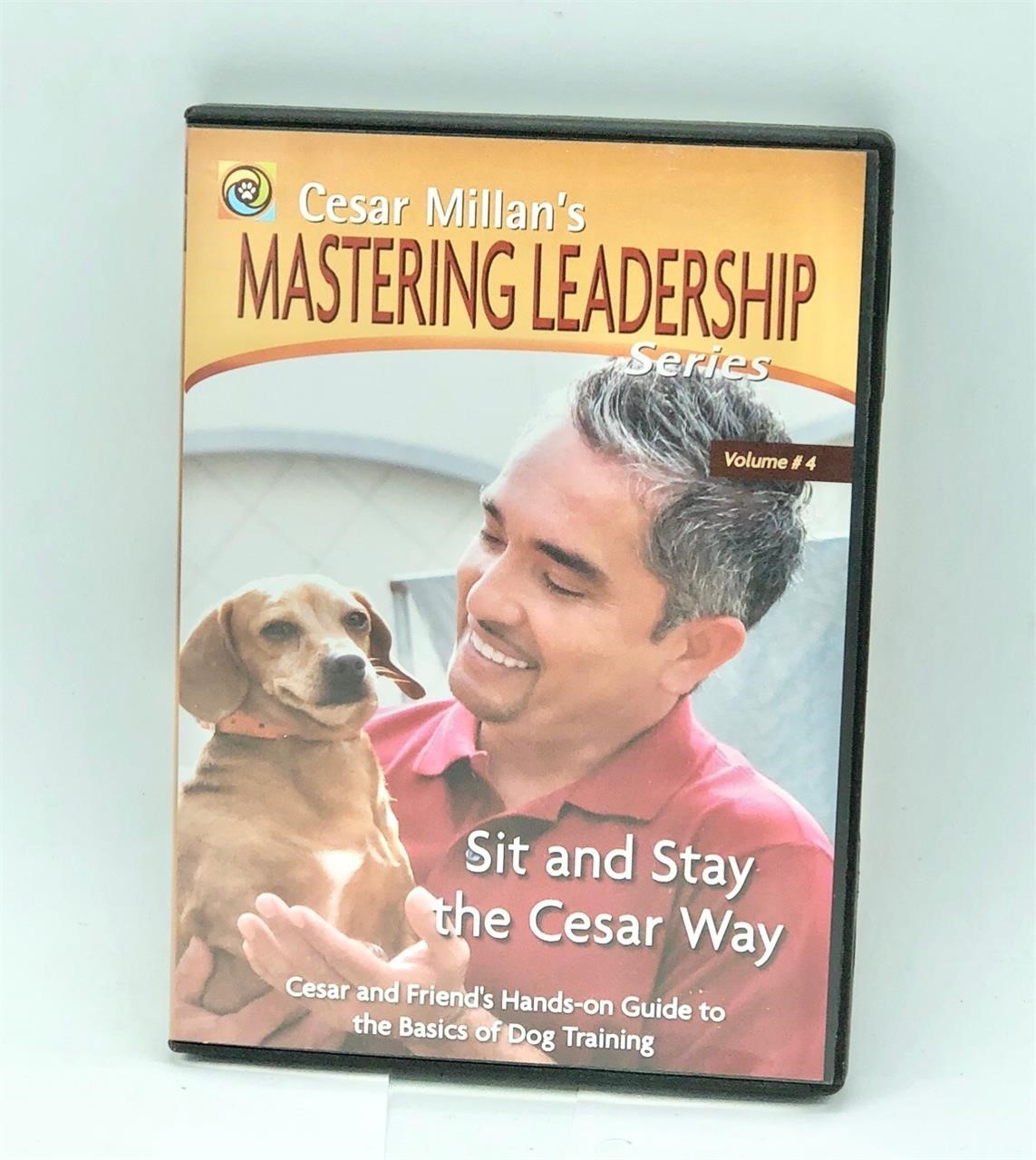 Mastering Leadership series Volume 4 sit and stay