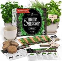 INDOOR HERB GARDEN STARTER CILANTRO CHIVES SEEDS