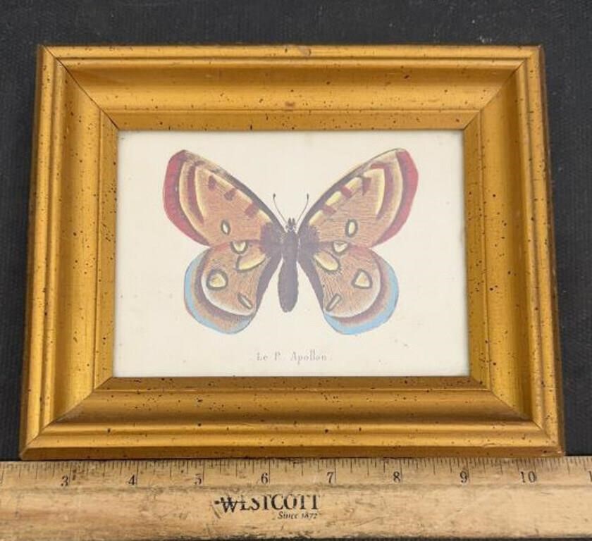 FRAMED DECOR-BUTTERFLY