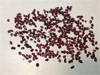 Garnet Polished Gemstones, 86.3 Grams