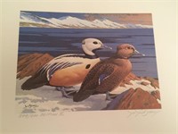 Federal Migratory Bird Stamp Print 1973 - 1974