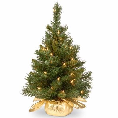 National Tree Co. 2 Ft Pre-Lit Majestic Fir Tree