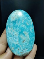 BlueAragonite Plam