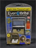 EVER BRITE MOTION-ACTIVATED SOLAR POWER LED LIGHT
