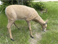Life-size doe deer decoy