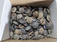 Job lot 100s military buttons