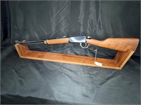 Henry Model H001, 22 Long Rifle