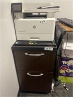 HP Printer and Printer Cabinet