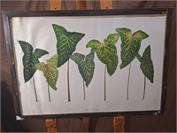 SAF-26 Framed Arum Italicum Garden Painting