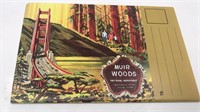 13 Muir Woods Souvenir Photos Folder - Like New