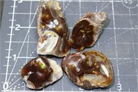 Windowed Polished Fire Agate Chunks W/ Fire