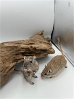 2 Females-Baby Gerbils-10 weeks