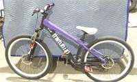 Rocky Mountain Bike, used