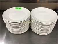 ~48 Dinner Plates - 10"