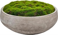 Macomine Design Moss Bowl |12" Diameter |