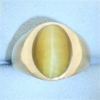 Mens Chrysoberyl Cat's Eye Ring in 10k Yellow Gold