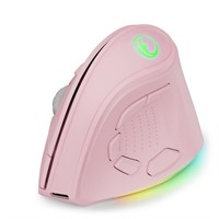 IFYOO 2.4G and BT 5.1 Dual Mode RGB Rechargeable W