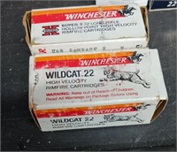 100 rounds wildcat 22