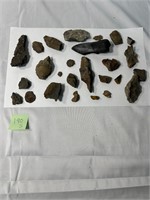 24 Fossils Various Locations and Minerals