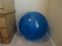 GAIAM Exercise Ball