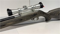 Ruger 10/22 Custom SS, .22LR