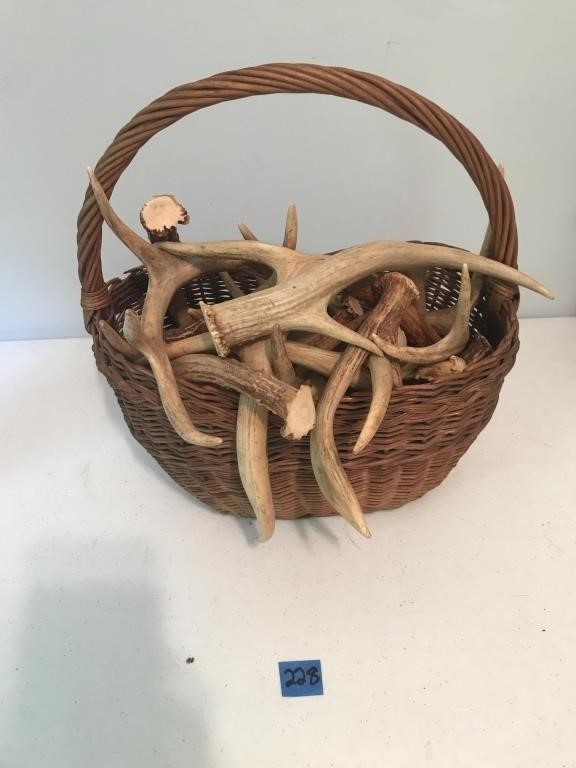 Basket Full of Assorted Deer Antlers