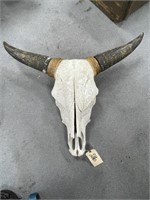 Cow Skull 26"L x 33"W loose horns