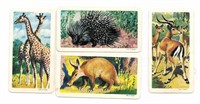 Lot of 4 1964 Red Rose African Animals cards